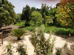  Villino del Nespolo  Авола